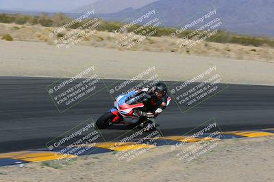 media/Feb-04-2023-SoCal Trackdays (Sat) [[8a776bf2c3]]/Turn 6 Inside (1025am)/